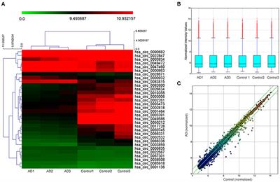 Identification of Circular RNA hsa_Circ_0003391 in Peripheral Blood Is Potentially Associated With Alzheimer's Disease